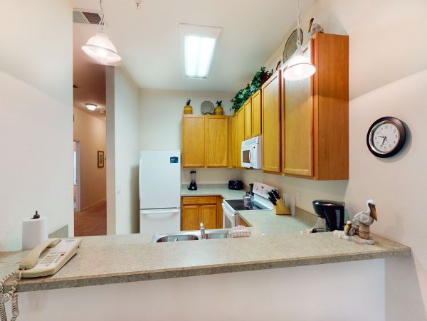 Orlando Condo 956426
