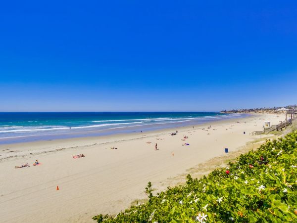 Mission Beach And Pacific Beach Condo 956464