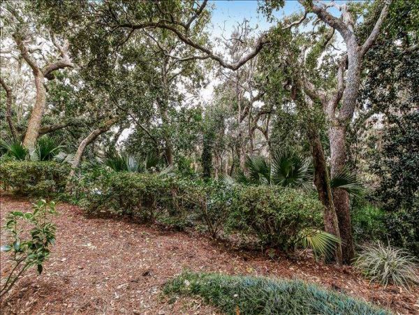 Fernandina Beach Amelia Island Condo 956470