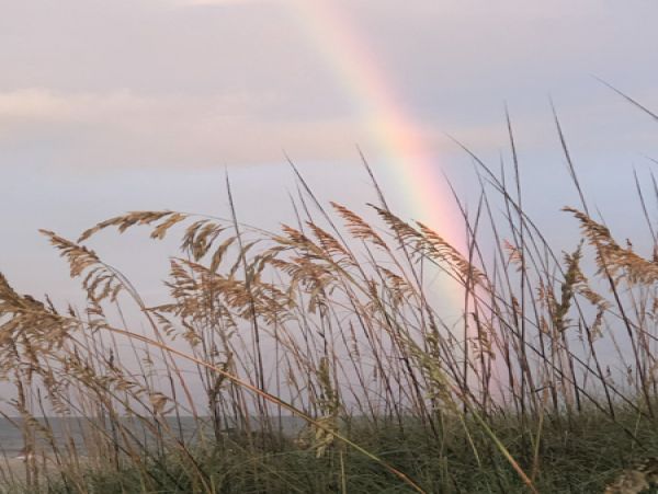 Fernandina Beach Amelia Island Condo 956506