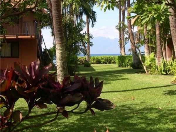 Kaanapali Condo 956623