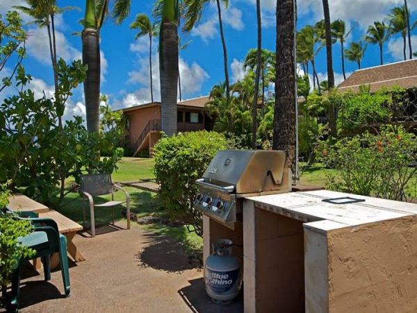 Kaanapali Condo 956623