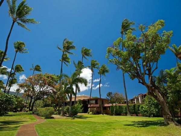 Kaanapali Condo 956623