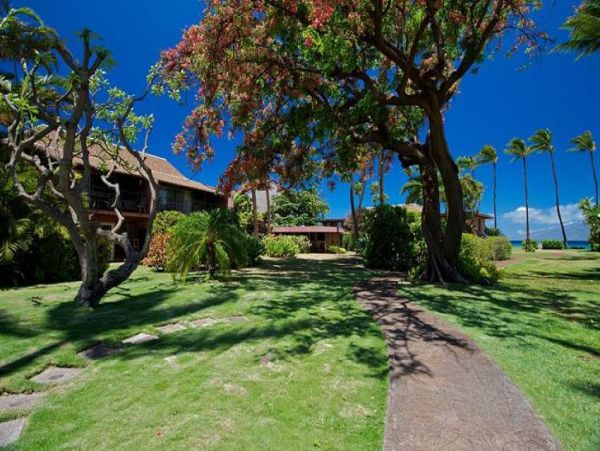 Kaanapali Condo 956623
