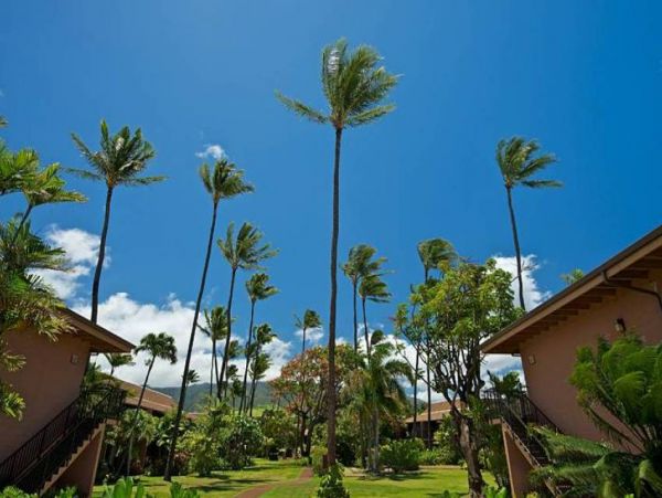 Kaanapali Condo 956623