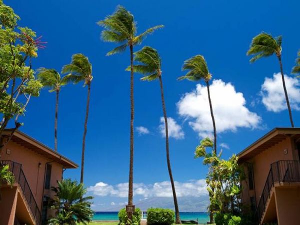 Kaanapali Condo 956623