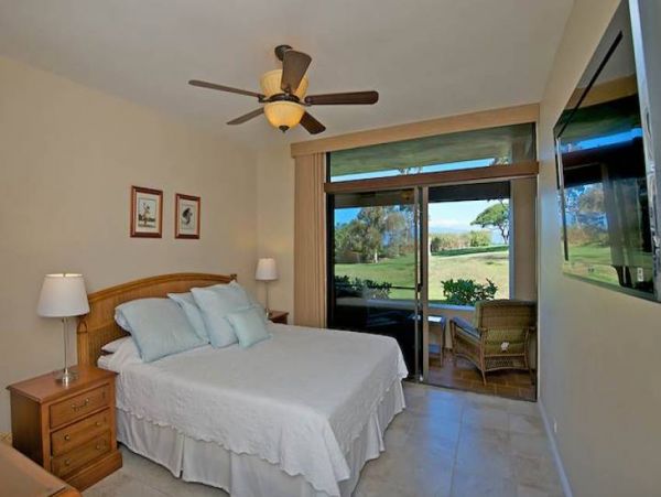 Kaanapali Condo 956628