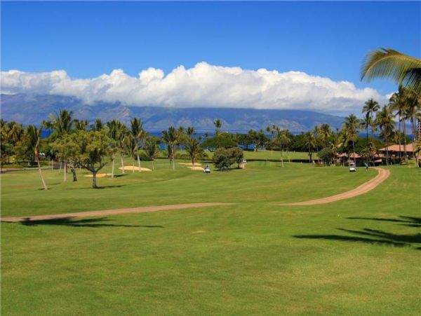 Kaanapali Condo 956628