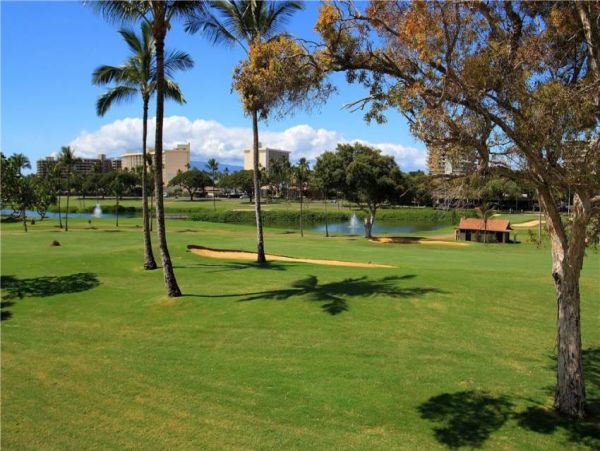 Kaanapali Condo 956628