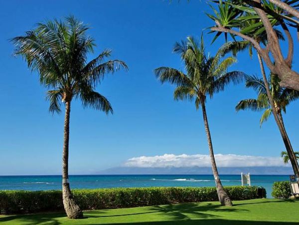 Kaanapali Condo 956630