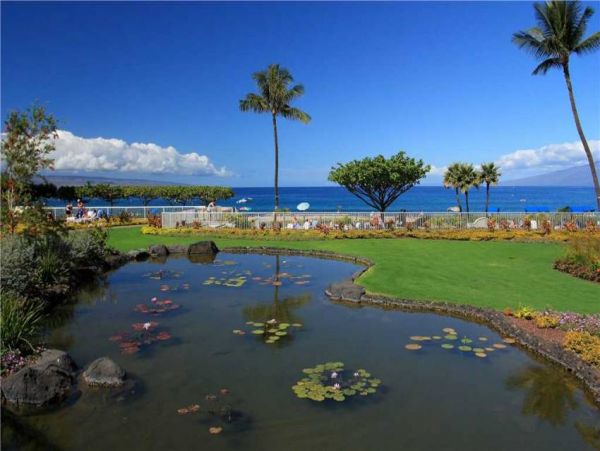 Kaanapali Condo 956637