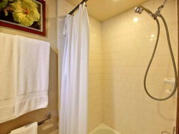 Kaanapali Condo 956639