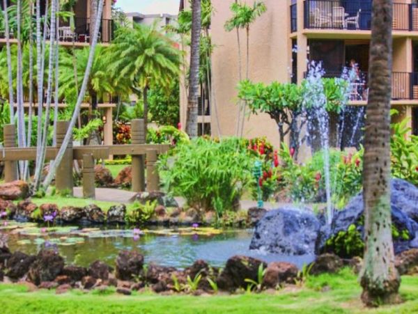 Kaanapali Condo 956640