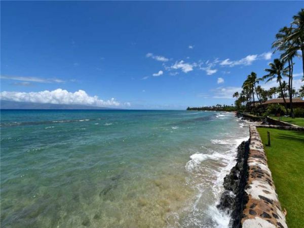 Kaanapali Condo 956644