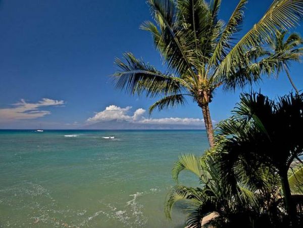 Kaanapali Condo 956645