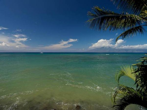 Kaanapali Condo 956645