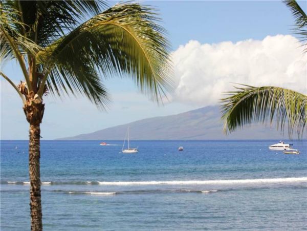 Lahaina Condo 956647