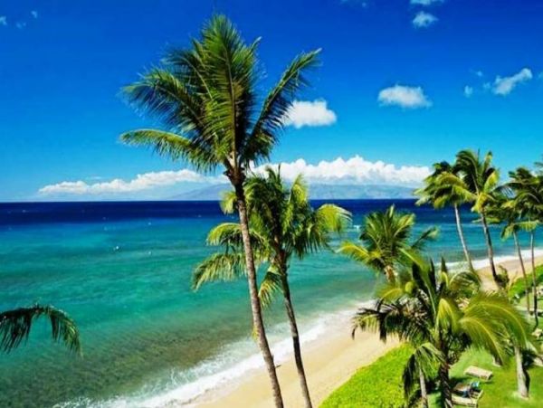 Kaanapali Condo 956649