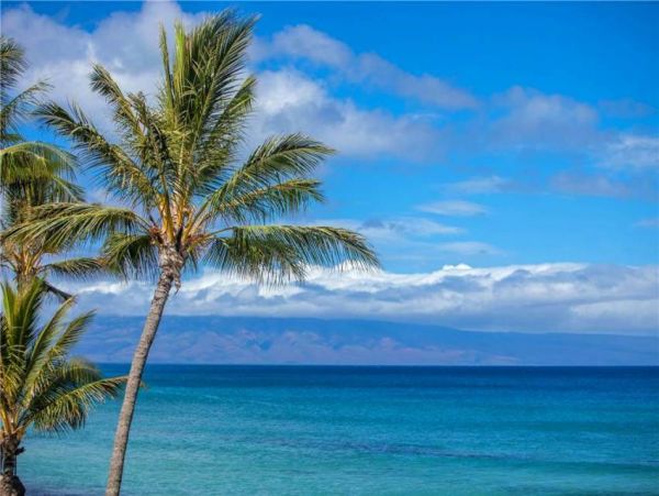 Kaanapali Condo 956652