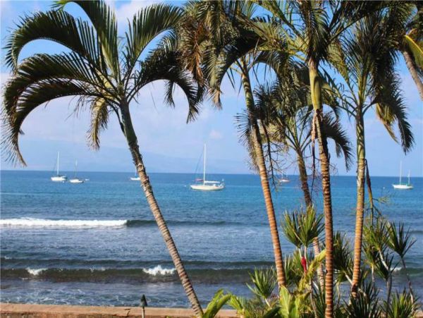 Lahaina Condo 956656