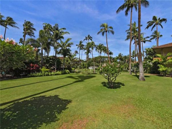 Kaanapali Condo 956658