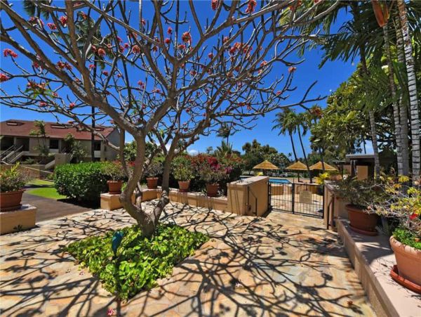Maui Condo with Ocean and  Golf Course Views Great Rental