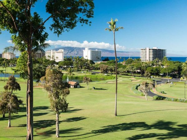 Maui Condo with Ocean and  Golf Course Views Great Rental