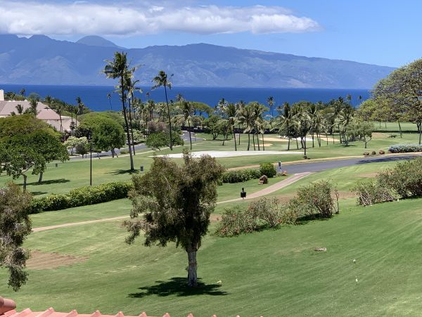 Maui Condo with Ocean and  Golf Course Views Great Rental