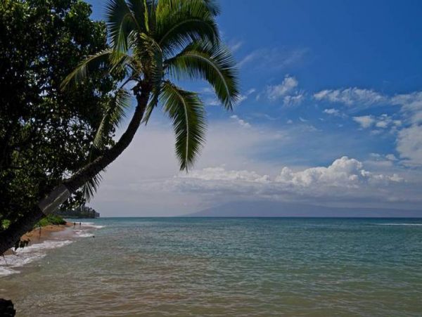 Kapalua Condo 956672