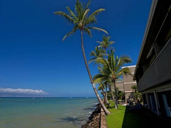Kapalua Condo 956672