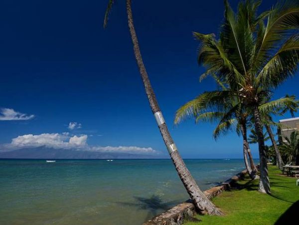 Kapalua Condo 956672