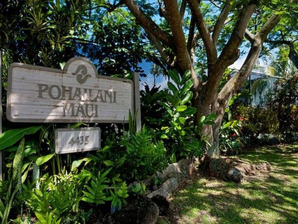 Kapalua Condo 956672