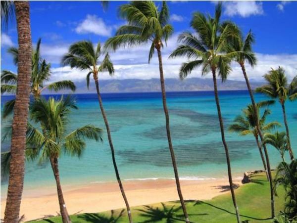 Kaanapali Condo 956681