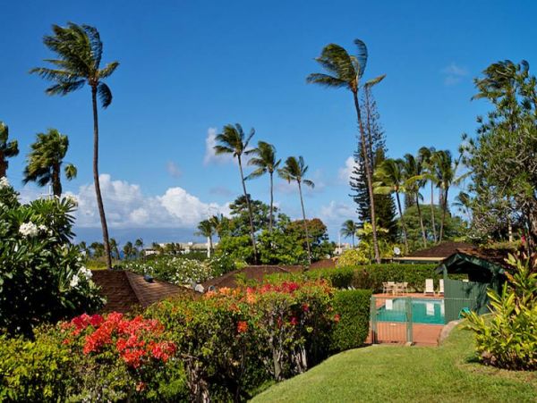 Kaanapali Condo 956684