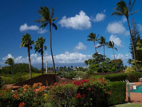Kaanapali Condo 956684