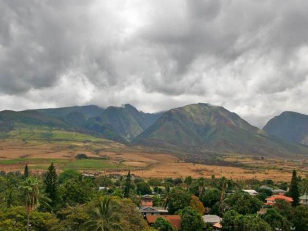 Lahaina Condo 956694