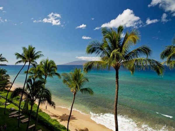 Kaanapali Condo 956698