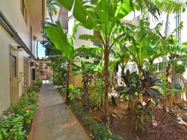 Kaanapali Vacation Condo One Bedroom On Beach