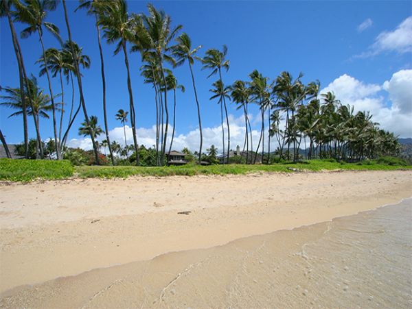 Kahala 7-Brm Estate Main House Plus Cottage