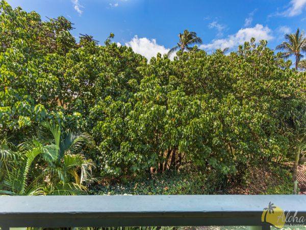 Kahana Condo 956944