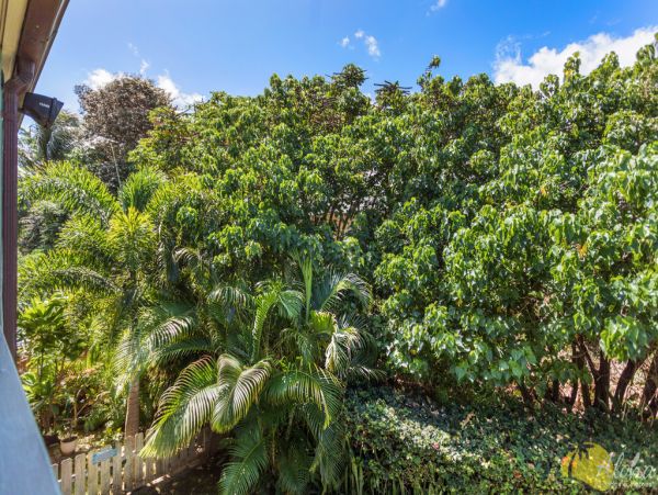 Kahana Condo 956944