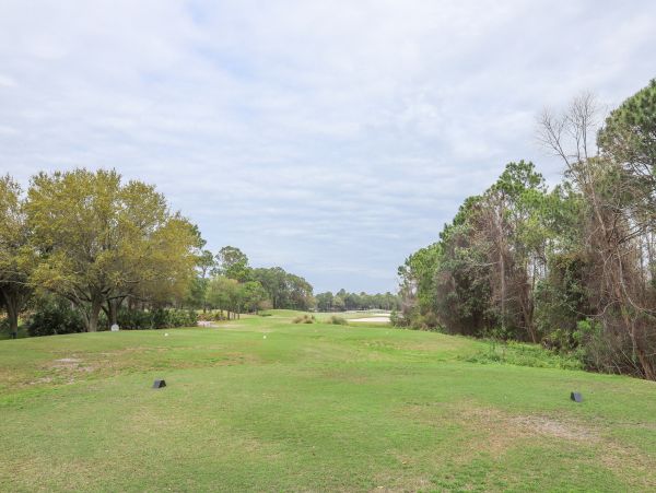 Beaches Of South Walton Condo 957137