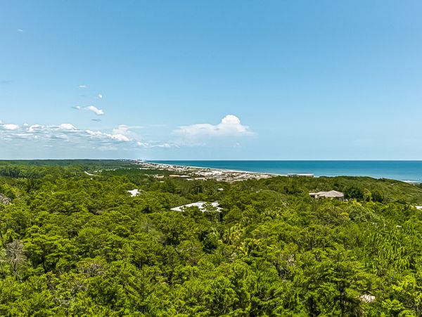 Beaches Of South Walton Condo 957158