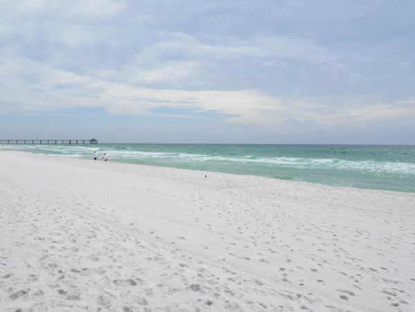 Palm Coast Condo 957172