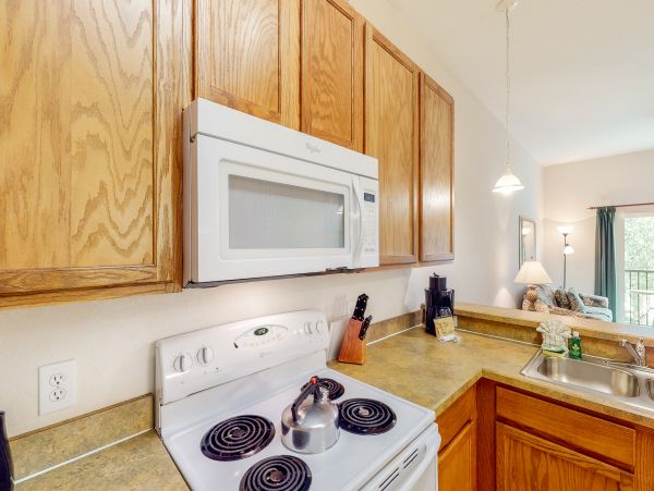 Orlando Home 957198