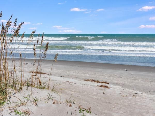 Cocoa Beach Condo 957213
