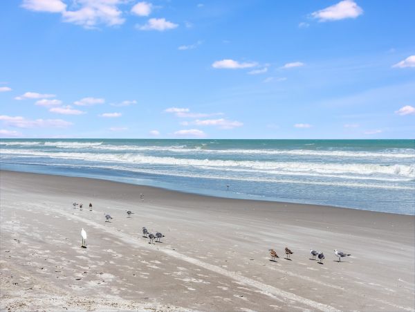 Cocoa Beach Condo 957213