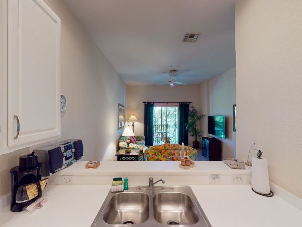 Orlando Home 957230