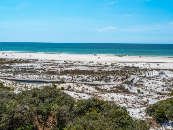 Beaches Of South Walton Home 957306