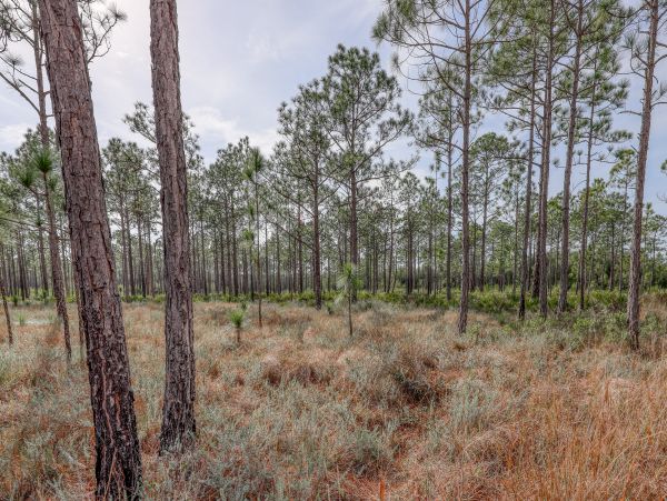 Beaches Of South Walton Condo 957363